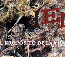 El Propósito de la Vida